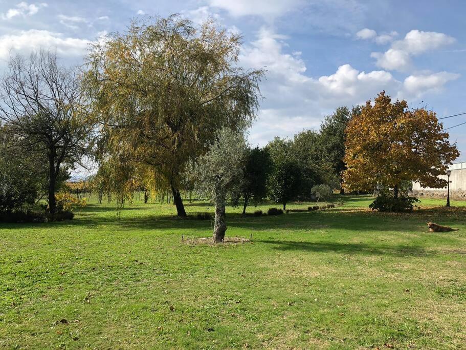 Maison Avec Piscine : Quinta Do Sol Amarante Zewnętrze zdjęcie
